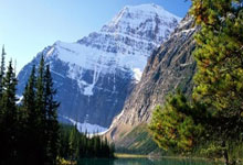 关于瓦伦西亚球员集体亮眼：全力拼搏，赢得掌声的信息